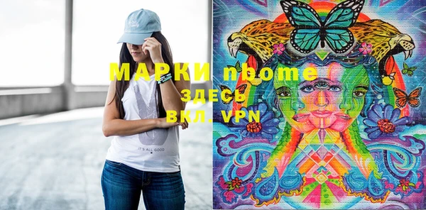 ПСИЛОЦИБИНОВЫЕ ГРИБЫ Арсеньев