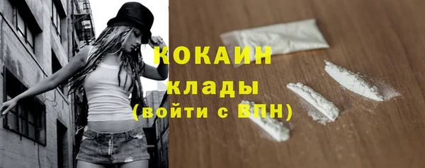 ешки Аркадак