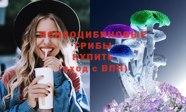 ПСИЛОЦИБИНОВЫЕ ГРИБЫ Арсеньев