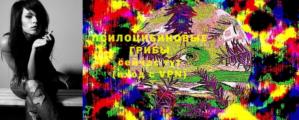 ПСИЛОЦИБИНОВЫЕ ГРИБЫ Арсеньев