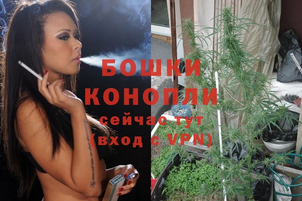 ПСИЛОЦИБИНОВЫЕ ГРИБЫ Арсеньев