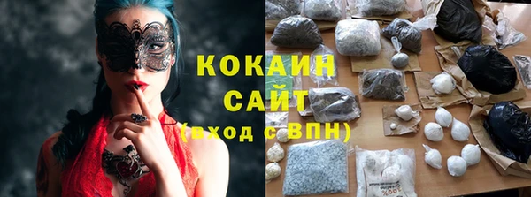 ешки Аркадак